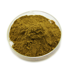 Wholesale Top-Quality Bulk Organic Chaga Mushroom Extract Powder With Competitive Price